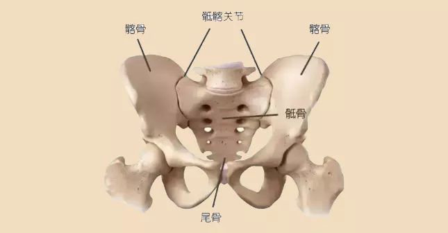 产后骨盆恢复的重要性